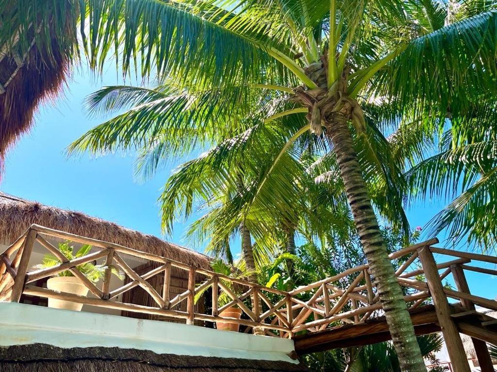 Bed and Breakfast Casa Tom Tom - Adults Only Isla Holbox Zewnętrze zdjęcie