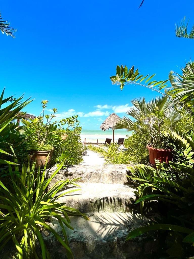 Bed and Breakfast Casa Tom Tom - Adults Only Isla Holbox Zewnętrze zdjęcie